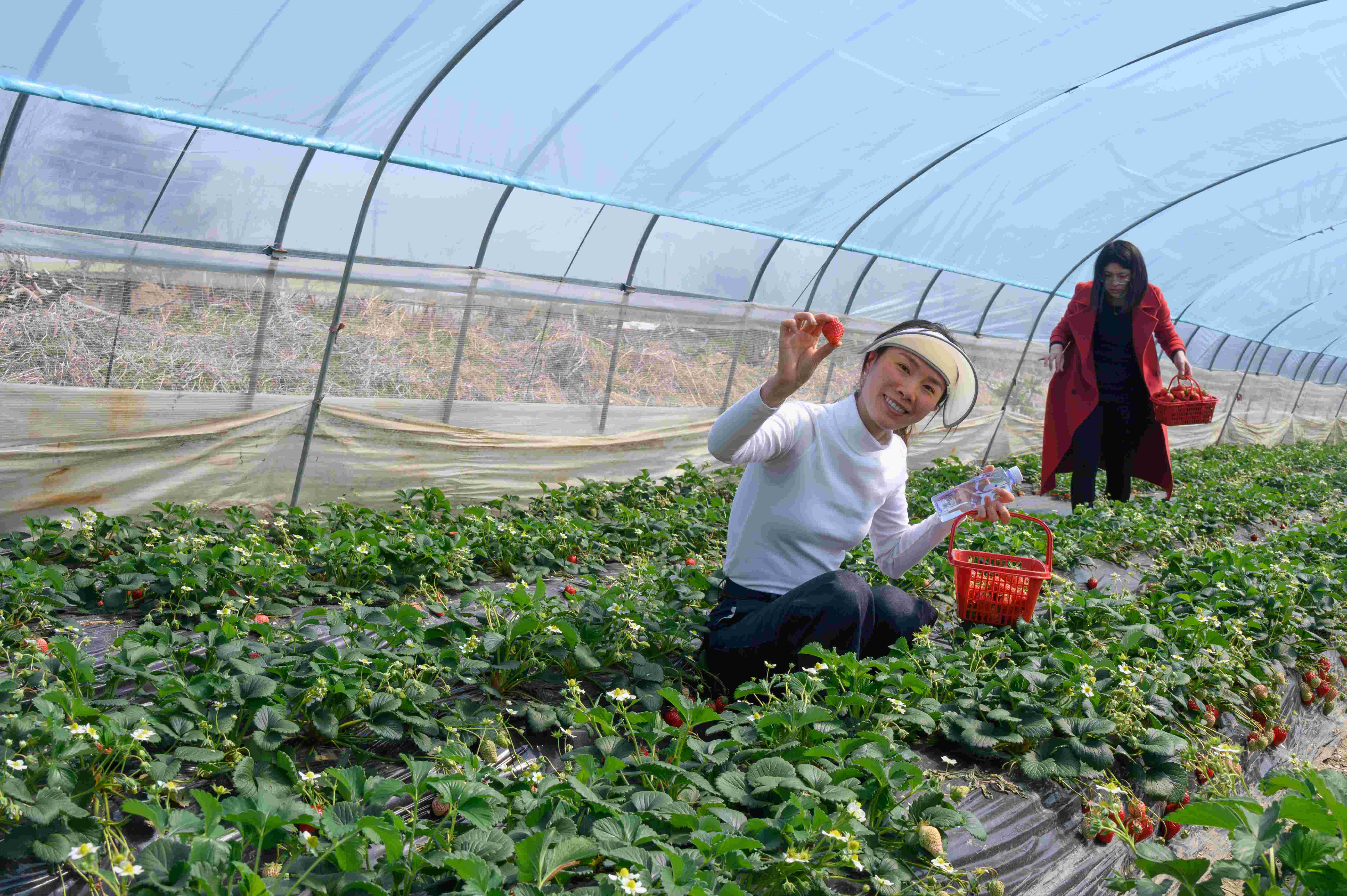 1646812300701549fJuW.jpg 1646812300701549fJuW.jpg