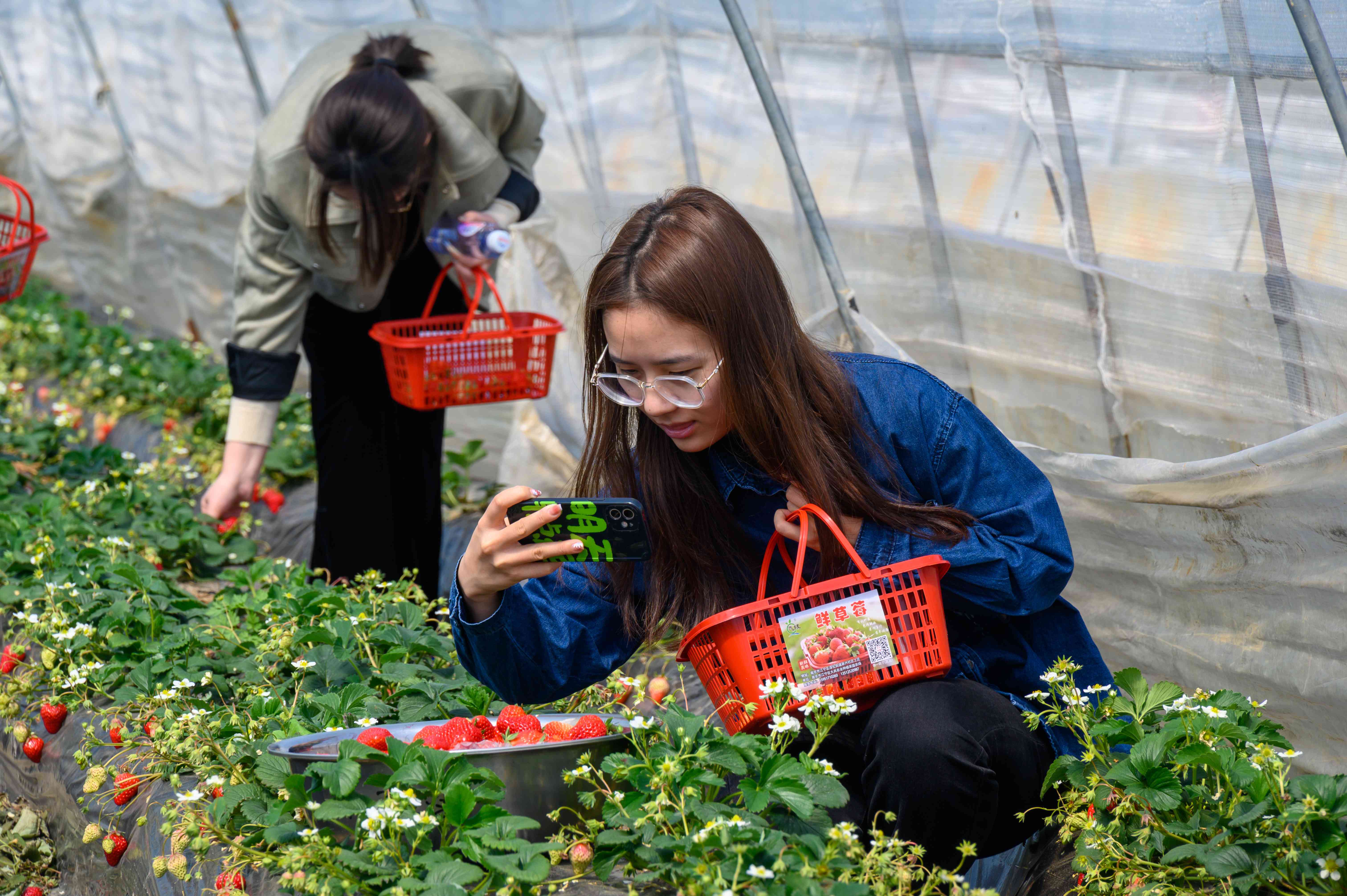 16468123452941525Ag0.jpg 16468123452941525Ag0.jpg